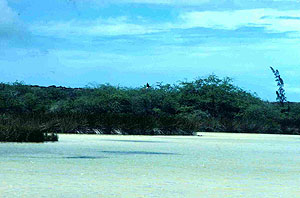 Makalawena Marsh Makalawena Marsh