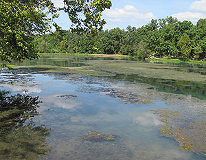 Mammoth Spring Mammoth Spring