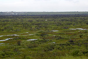 Miramar Mounds Miramar Mounds