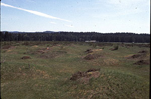 Mima Mounds Mima Mounds