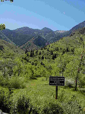 Neffs Canyon Cave Neffs Canyon Cave