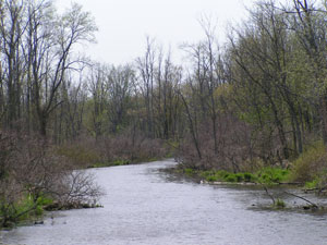 Oak Orchard Creek Marsh Oak Orchard Creek Marsh