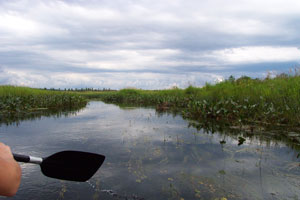 Passadumkeag Marsh and Boglands Passadumkeag Marsh and Boglands