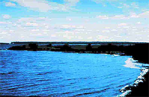 Pine Point Research Natural Area Pine Point Research Natural Area