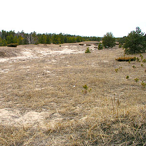 Point Beach Ridges Point Beach Ridges