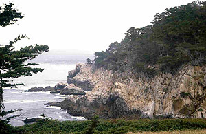 Point Lobos State Reserve Point Lobos State Reserve