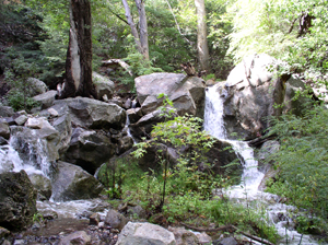 Ramsey Canyon Ramsey Canyon