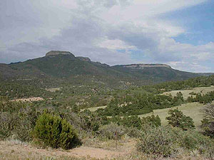 Raton Mesa Raton Mesa