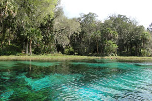 Rainbow Springs Rainbow Springs