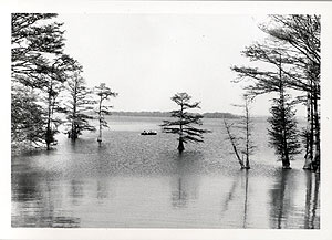 Reelfoot Lake Reelfoot Lake