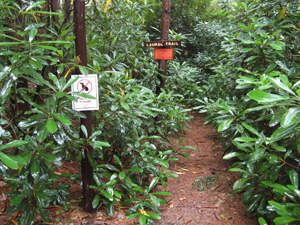 Rhododendron Natural Area Rhododendron Natural Area