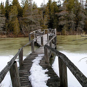 Ridges Sanctuary-Toft's Point-Mud Lake Area Ridges Sanctuary-Toft's Point-Mud Lake Area