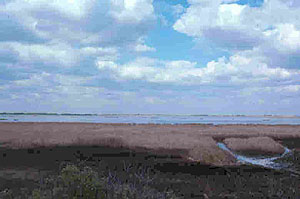 Rush Lake Rush Lake
