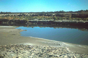 San Felipe Creek Area San Felipe Creek Area