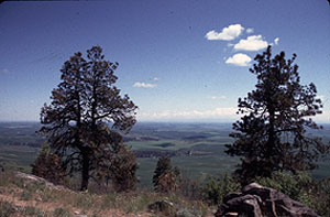 Steptoe and Kamiak Buttes Steptoe and Kamiak Buttes