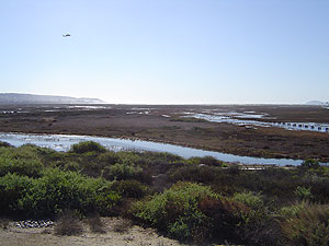 Tijuana River Estuary Tijuana River Estuary
