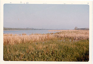 Tobico Marsh Tobico Marsh