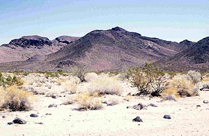 Turtle Mountains Natural Area Turtle Mountains Natural Area