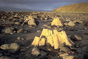 Unga Island Unga Island