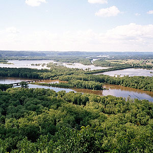 Wyalusing Hardwood Forest Wyalusing Hardwood Forest
