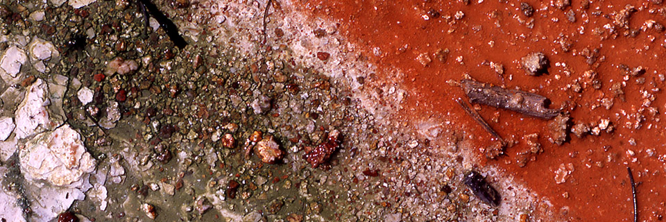 Close up view of three diagonal color bands showing 1) white flakes, 2) brown crust with white edge and sand-like grains of varying sizes, and 3) red mud-like surface with widely spaced sand-like grains of varying sizes and small twig-like fragments.