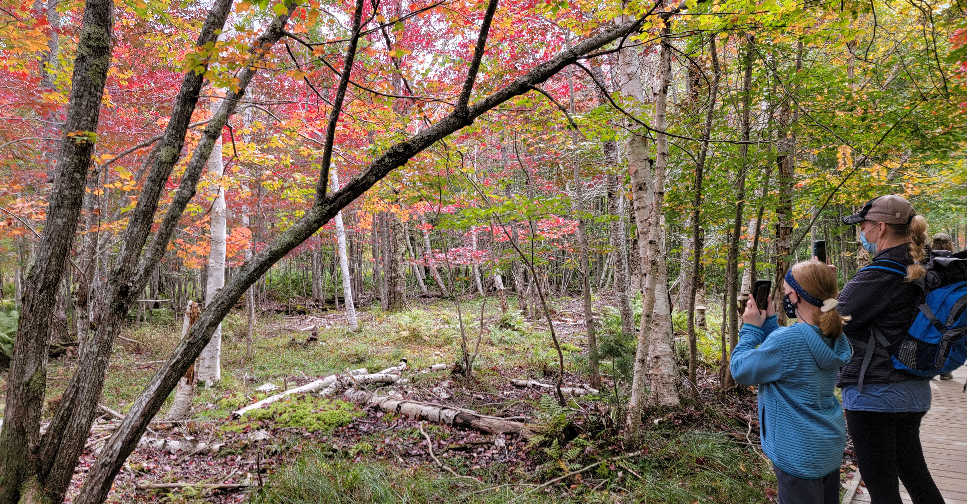 an adult and child stop to take a picture of red and green leaved trees