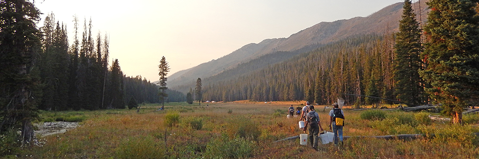 People carrying buckets in a meadow with mountains in the distance.