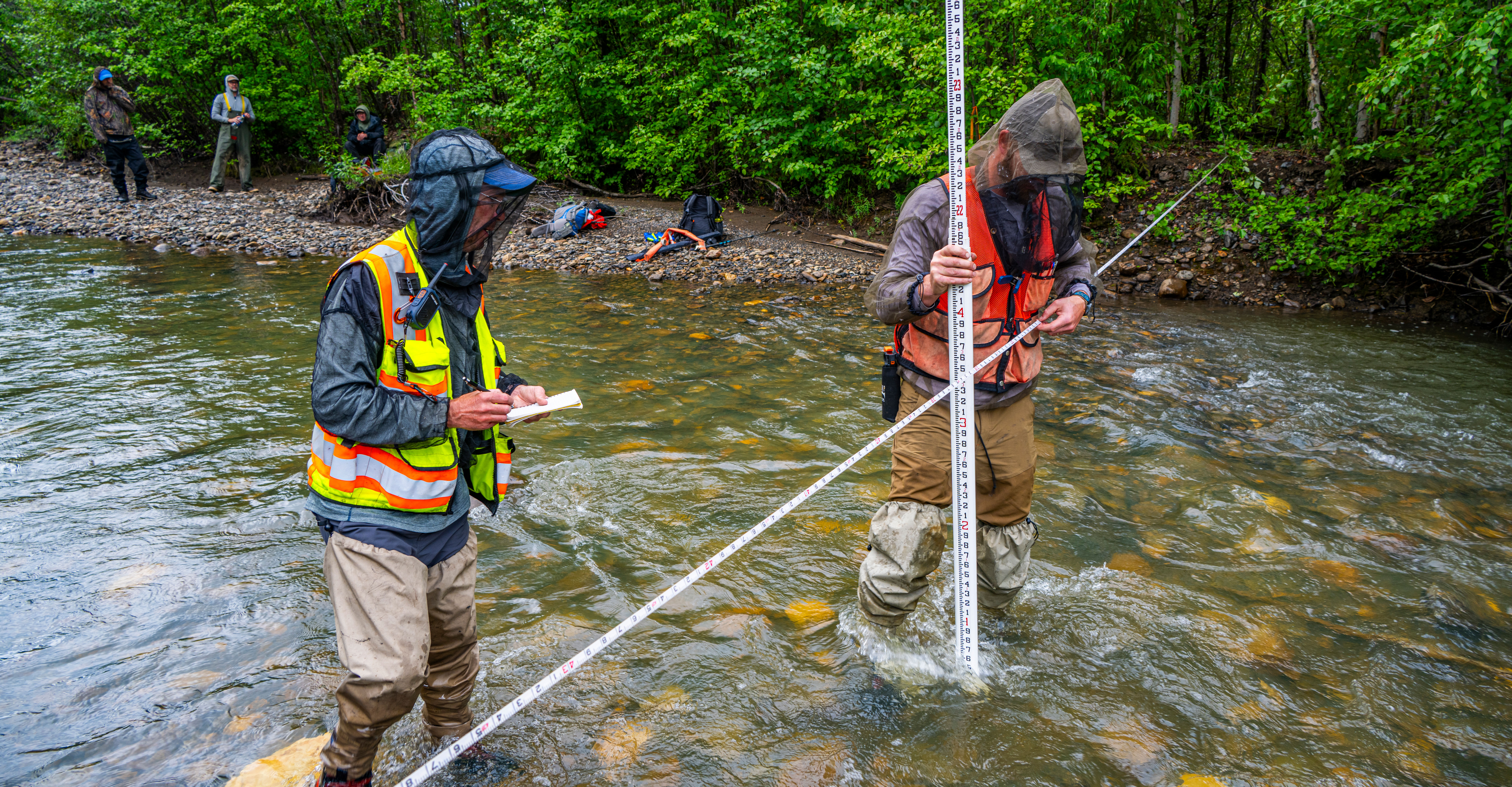 two people in bug nets and waders stand in a stream with long measuring tapes