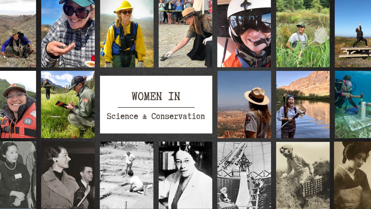 A collage of historical and contemporary photos of women in science with text "Women in Science and Conservation"