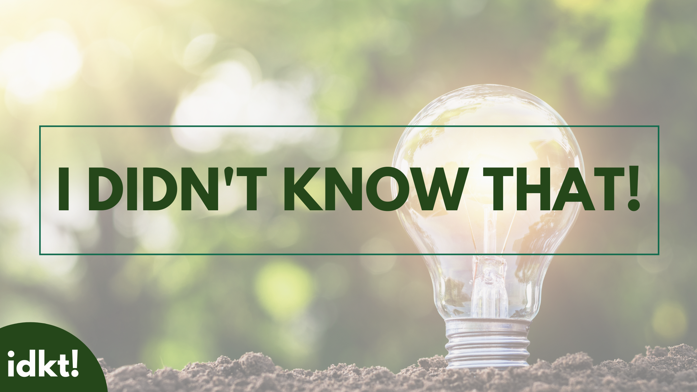 a lightbulb glows in a dirt garden, text reads: I Didn't Know That!