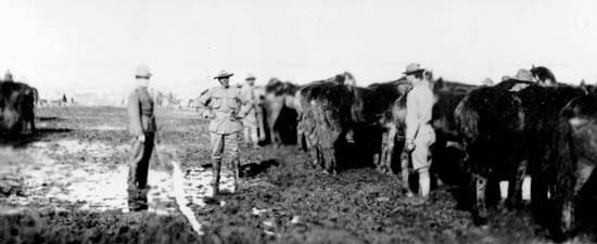 Major Charles Young with troops during Mexican Punitive Expedition