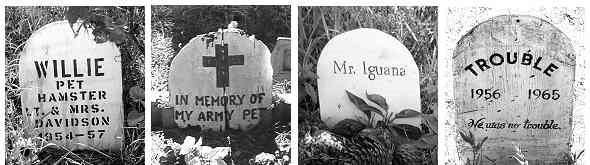 Grave markers in the pet cemetery