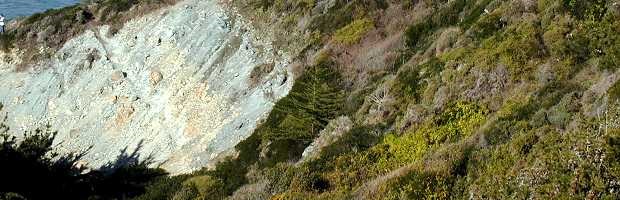 Coastal Serpentine Scrub
Community