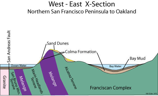 Cross section of the geology from San Francisco to Oakland
