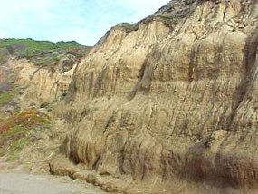 Colma Formation at Baker Beach