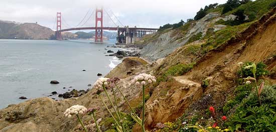 Presidio coastal bluffs