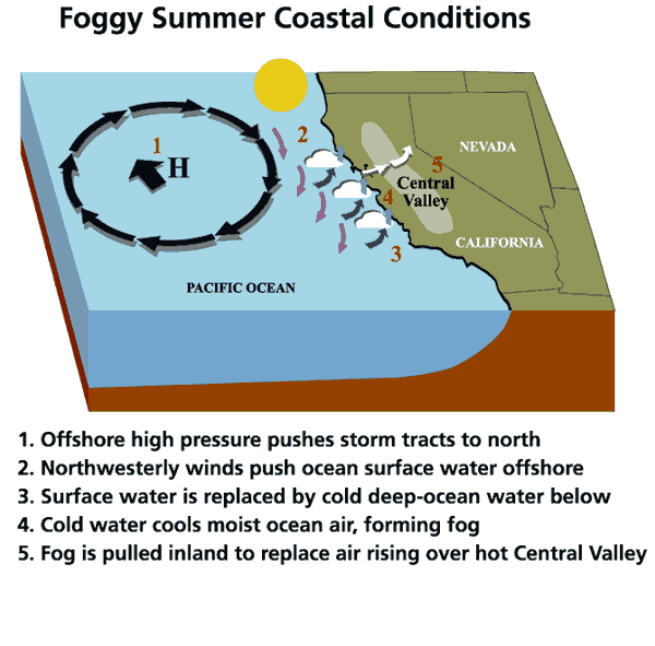 Summer Weather Pattern