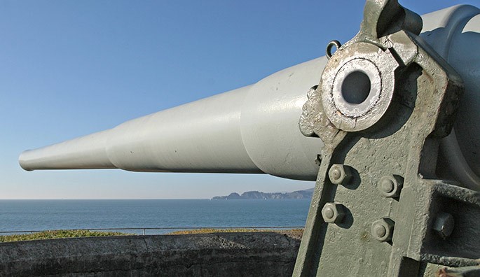 Battery Chamberlin gun tube Battery Chamberlin gun tube