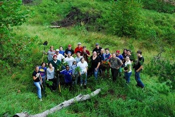 Group of volunteers working at NPLD