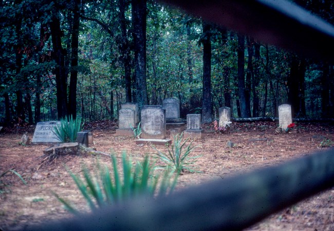 Florence Cemetery