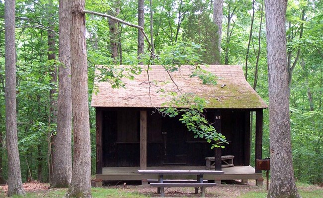 A cabin in summer