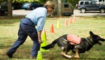 A handler with her search and rescue dog demonstrating skills.