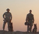 Military working dogs at sunset.