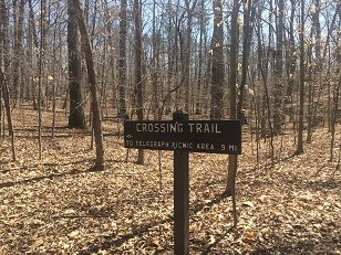 The Crossing Trial sign in the forest