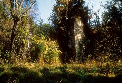 Ruins of a mill in the forest