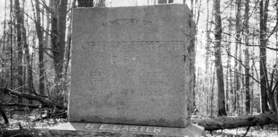 Henry Carter's gravestone