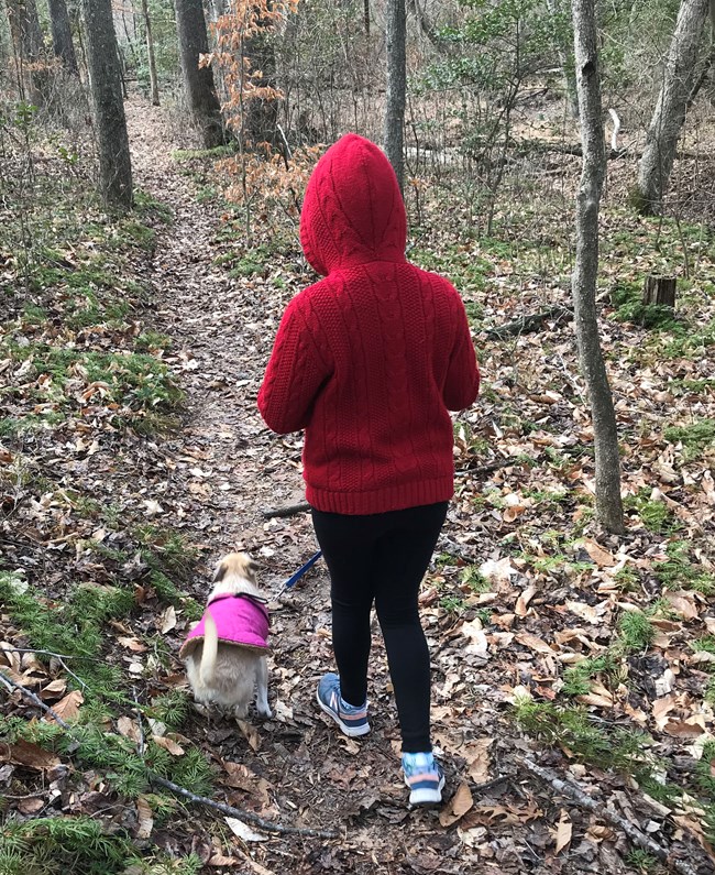 Going Letterboxing A girl in a red hooded jacket and her dog walk the trail to the letterbox