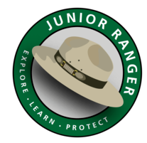 Junior Ranger