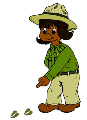 a ranger follows the tracks a ranger follows the tracks