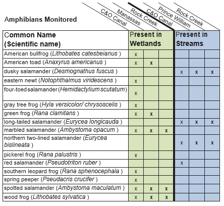 amphibians monitored chart